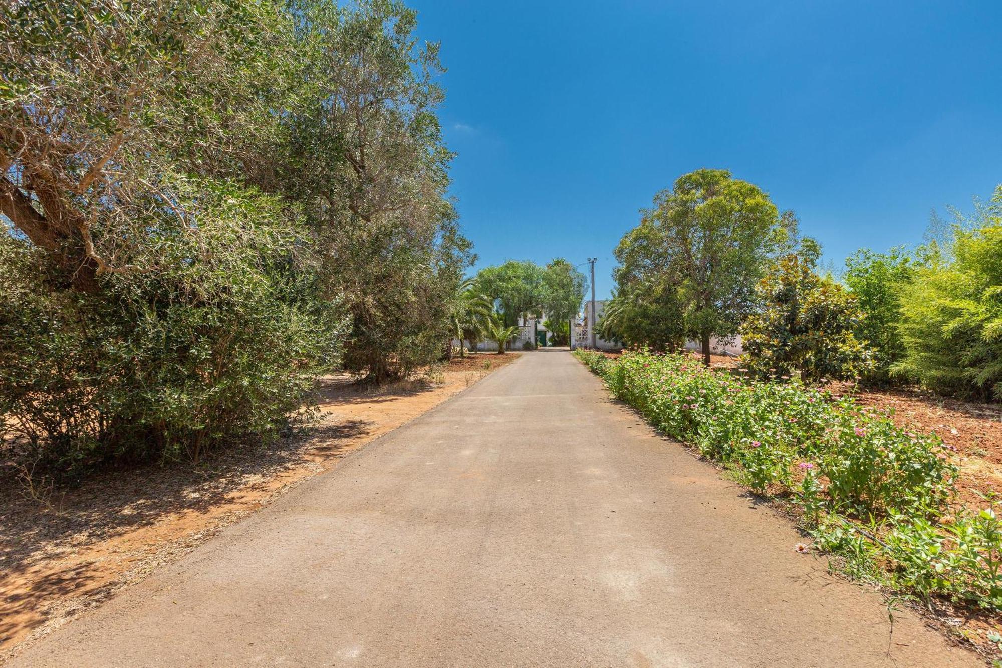 Masseria Sierri By Perle Di Puglia San Pancrazio Salentino Zewnętrze zdjęcie